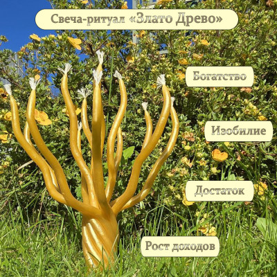 Свеча-ритуал "Злато Древо"
